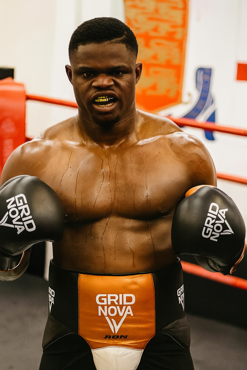 Boxing Gloves+Head Guard + Shin Pad RON Series